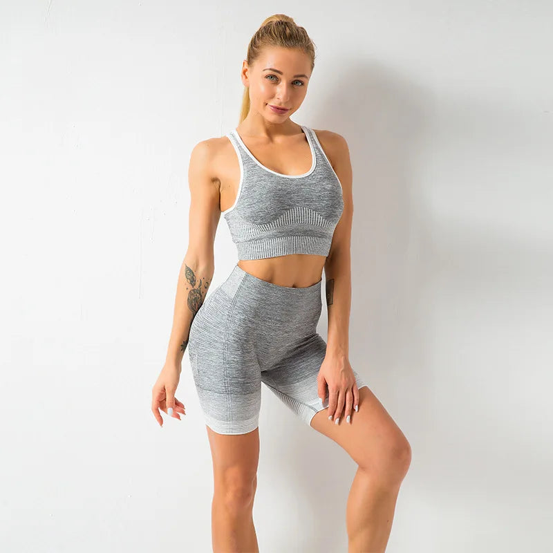 Conjunto Deportivo Mujer Sin Costuras Yoga Ropa de Gimnasio Mujer Conjunto de Leggings Largos Ombre de Manga Larga Cintura Alta Ropa de Gimnasio de Invierno Traje de Yoga Ajustado
