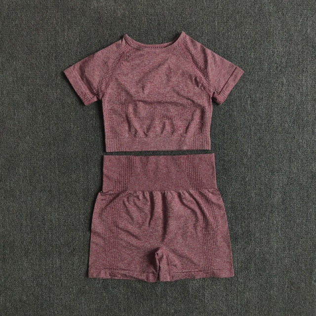 Seamless Women Yoga Set Crop Top Short Sleeve Shirt Fitness Shorts Workout Clothes For Women Gym Clothing Yoga Sport Set-10