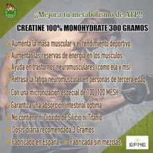 Creatina Monohidrato EFNE – 200 Mesh Micronizada de Alta Absorción