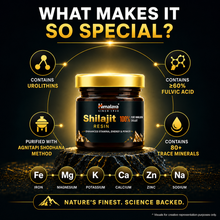 Himalaya SHILAJIT RESIN-2