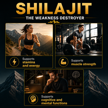 Himalaya SHILAJIT RESIN-3
