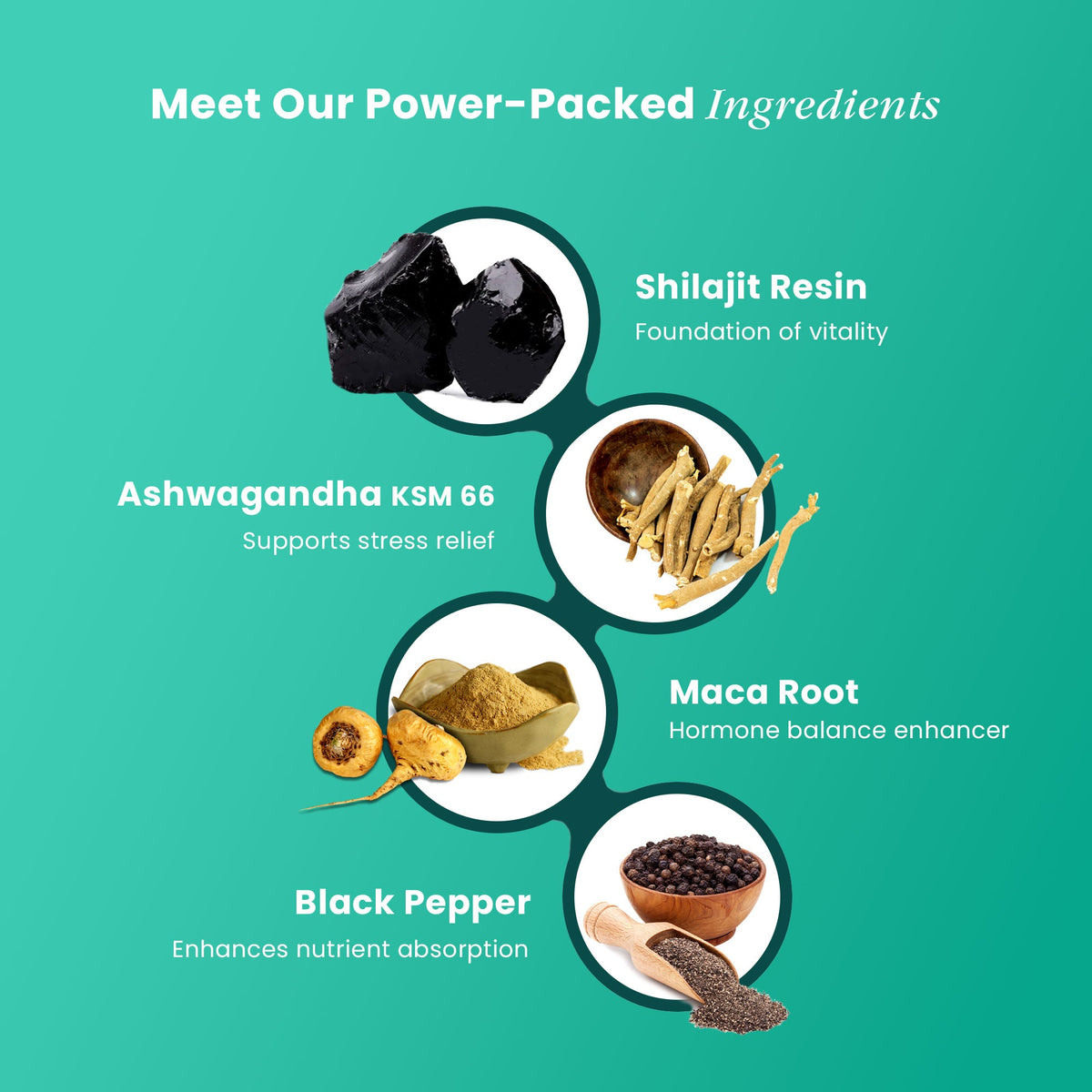 Beepwell Himalayan Shilajit Resin Plus-2