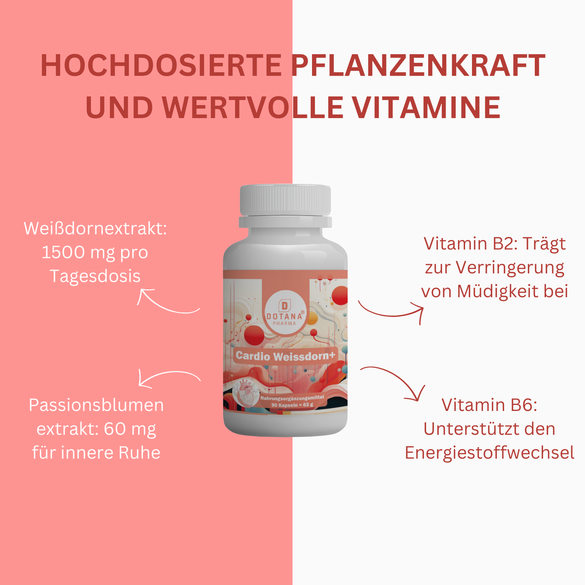 Cardio Weissdorn+ – Herz & Kreislauf Unterstützung – Weißdorn & Passionsblume – Mit Vitamin B2 & B6 – 90 Kapseln-2