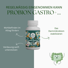 Probion Gastro+ – Probiotika mit 20 Milliarden Kulturen & Inulin – 16 Bakterienstämme – 60 Kapseln-3