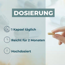 Ginkgo Plus - Komplex mit Ginkgo, Guarana, Kolanuss & B-Vitaminen - Vitamin C, E & Folsäure - 60 Kapseln - Nahrungsergänzungsmittel - Made in Germany-3