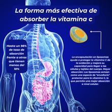 Vitamina C Liposomal EFNE | 1050mg