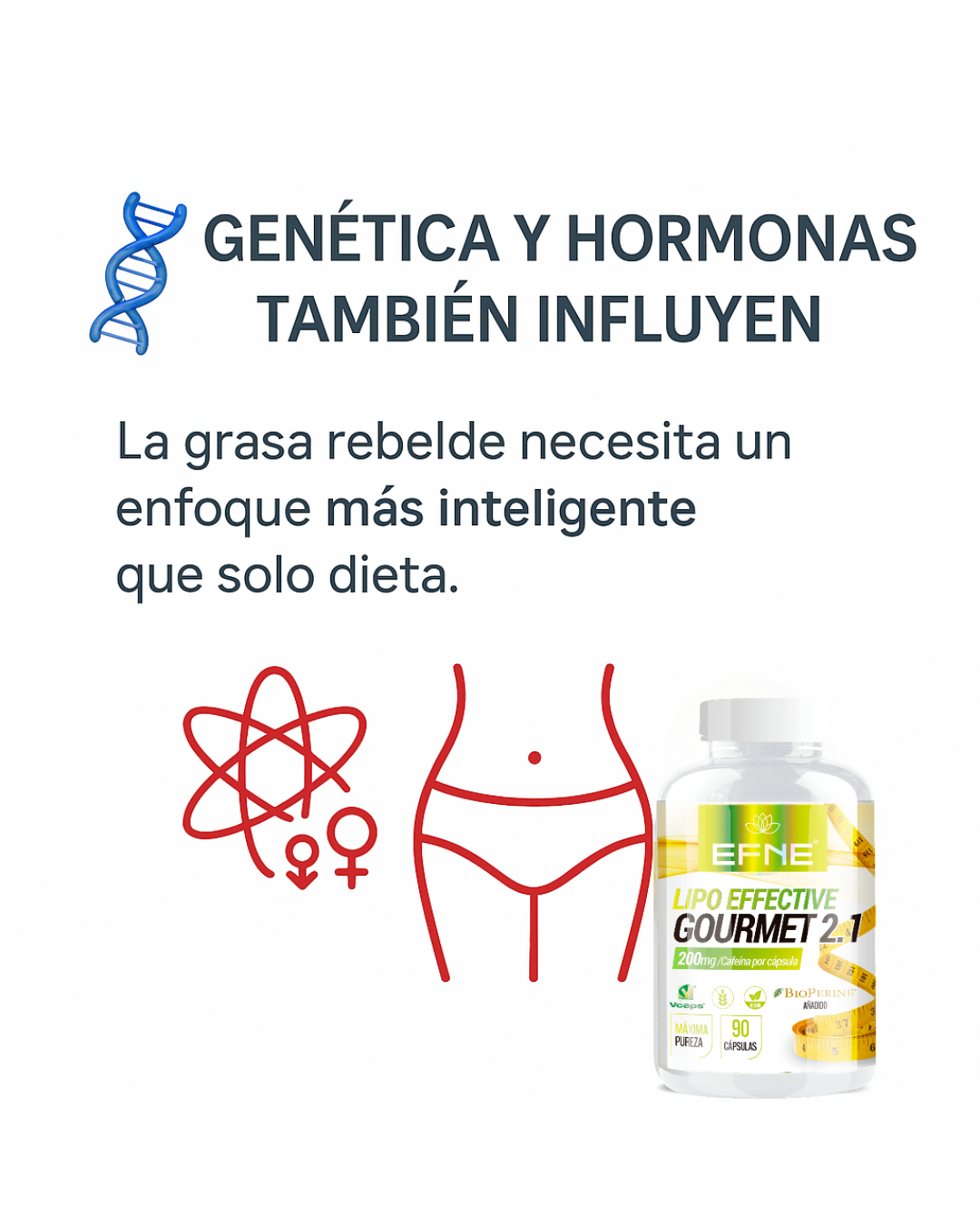 Lipo Effective EFNE 90 cápsulas – Activación y definición