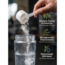 Creatina Monohidrato EFNE – 200 Mesh Micronizada de Alta Absorción