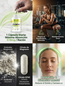 Citrato de Magnesio + B6 EFNE | Alta Absorción y Máxima Pureza (90 / 240 Cápsulas)