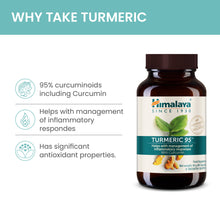 Himalaya Turmeric 95 (Curcuma)-1