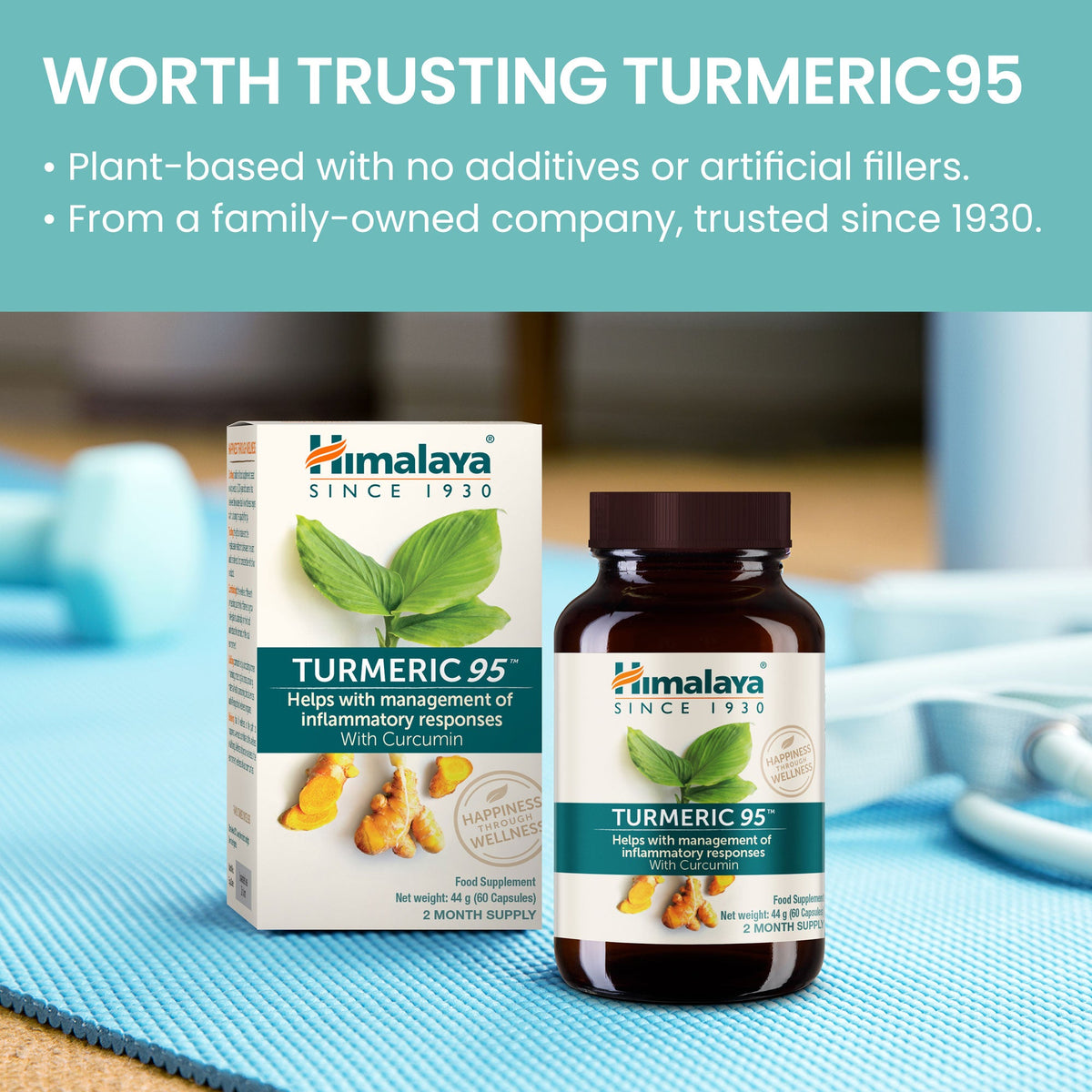 Himalaya Turmeric 95 (Curcuma)-2