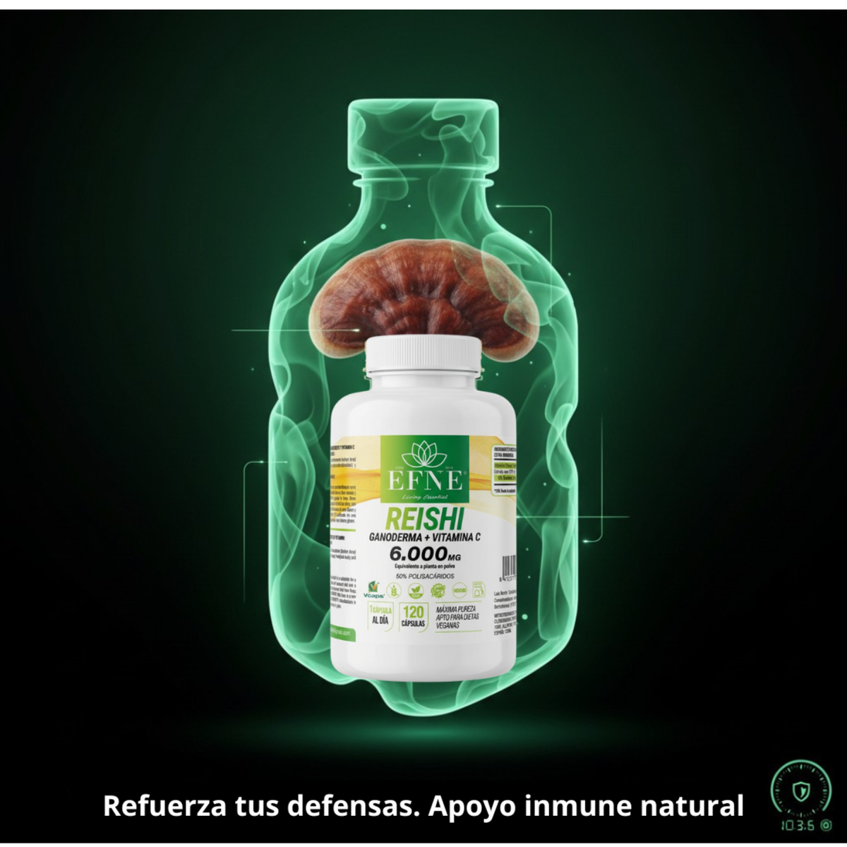 Reishi Ganoderma 6.000mg + Vitamina C EFNE: Refuerza Inmunidad y Controla el Estrés