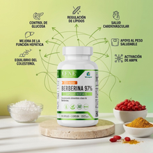 Berberina 97% EFNE – Control de glucosa y metabolismo