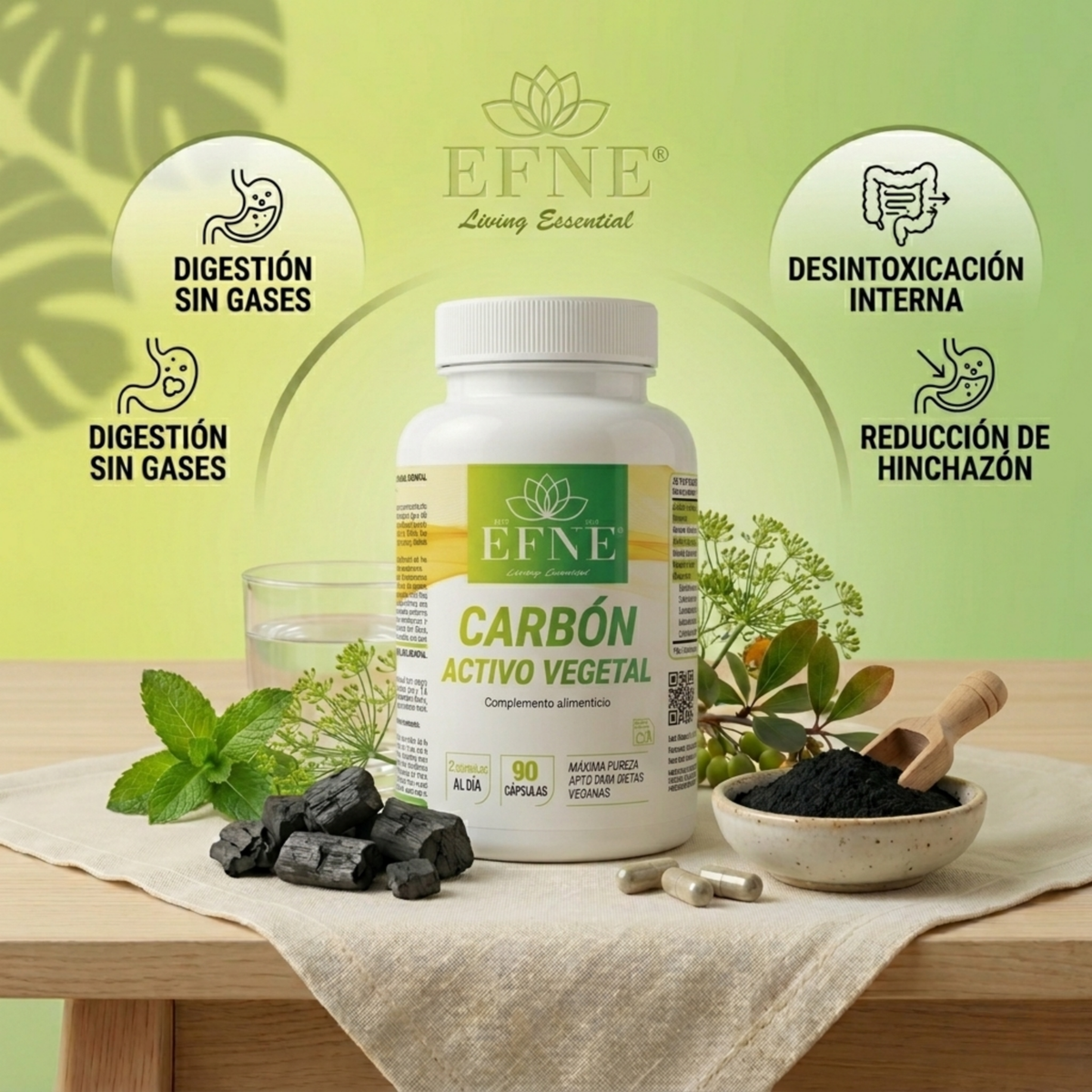 Carbón Activo Vegetal EFNE-  Inulina y probióticos