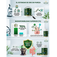 Omega 3 DHA Plus EFNE (Certificación IFOS™) – 60 Perlas | Forma de Triglicérido (TG)