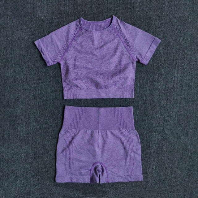 Seamless Women Yoga Set Crop Top Short Sleeve Shirt Fitness Shorts Workout Clothes For Women Gym Clothing Yoga Sport Set-9