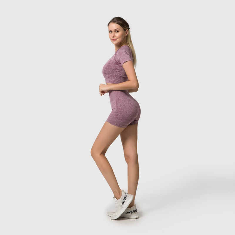 Conjunto Yoga Seamless para Mujer – 2, 3 o 5 Piezas con Crop Top Manga Larga, Corta o Sin Mangas y Leggings